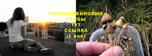 а пвп мука Белокуриха