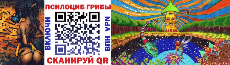 Купить закладки  Междуреченск  Псилоцибиновые грибы ЛСД 